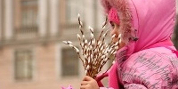В Приморье наметилась тенденция к потеплению