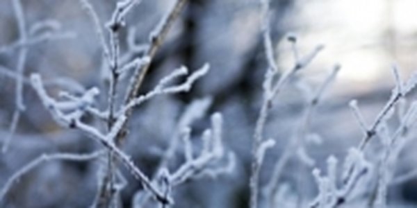 Относительно теплая погода установилась в Приморье