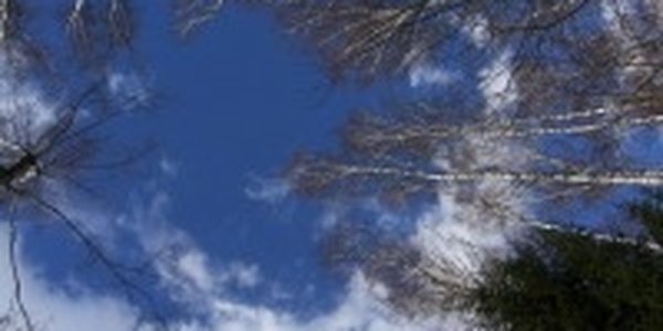 Приморье: Весна рано заявила о себе