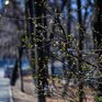 Во Владивостоке уже наступила метеорологическая весна
