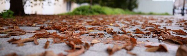 К утру четверга во Владивостоке похолодает до +4 °С