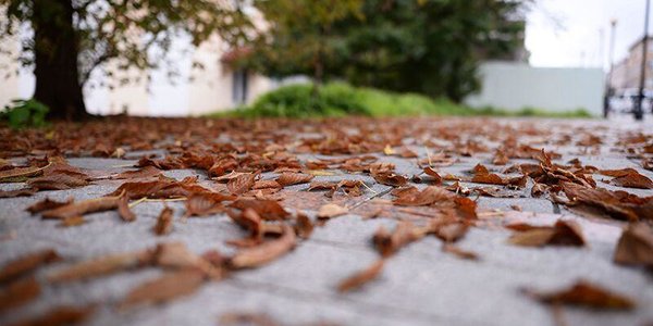 К утру четверга во Владивостоке похолодает до +4 °С