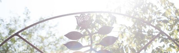 Наступил июль: температура воздуха в Приморье повышается