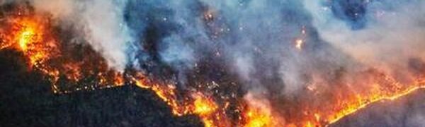 30 июня — 1 июля на севере Приморья сохранится 4 класс пожароопасности леса