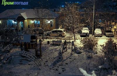 Прохладная погода с осадками сохранится в Приморье до конца недели