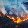 28–29 апреля в Приморье высокая опасность лесных пожаров