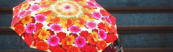 Температура воздуха в Приморье отстает от нормы на 2 — 7 градусов
