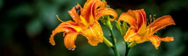В выходные дни в Приморье было дождливо