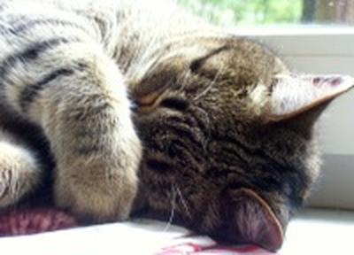 На смену теплу в Приморье приходит похолодание