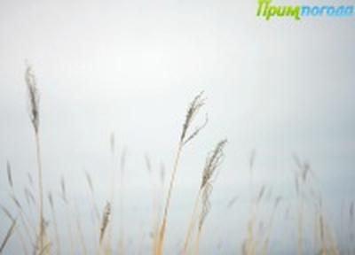 Каким оказался в Приморье первенец года — январь?