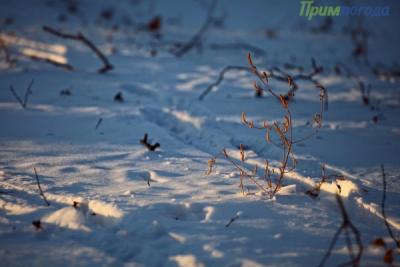 В Приморье сохраняется умеренно морозная погода