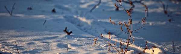 В Приморье сохраняется умеренно морозная погода