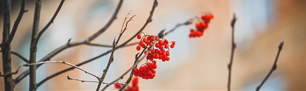 Выходные дни в Приморье придёт оттепель