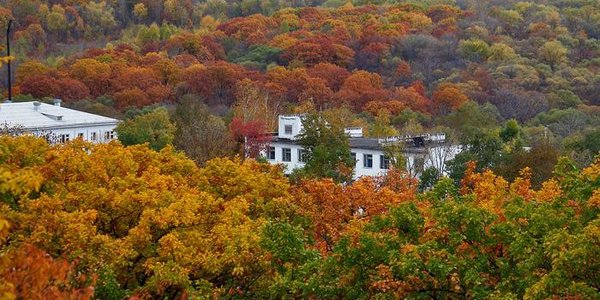 Заморозки до −11 °С ожидаются в Приморье