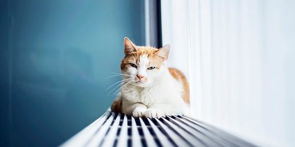 В Приморье начался отопительный сезон