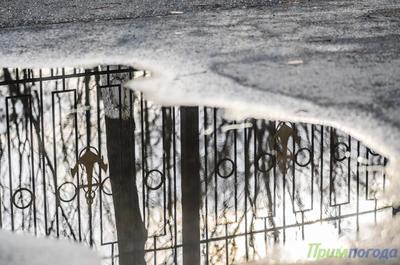 Дождь со снегом вернётся в Приморье в понедельник Дождь со снегом вернётся в Приморье в понедельник
