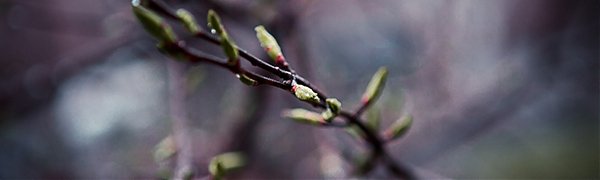 Завтра в Приморье пройдут дожди, местами со снегом