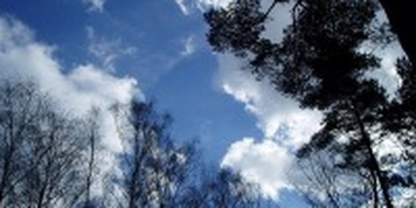 Завтра в Приморье наступит весна