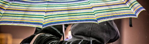 Небольшие дожди вновь прогнозируют синоптики в Приморье