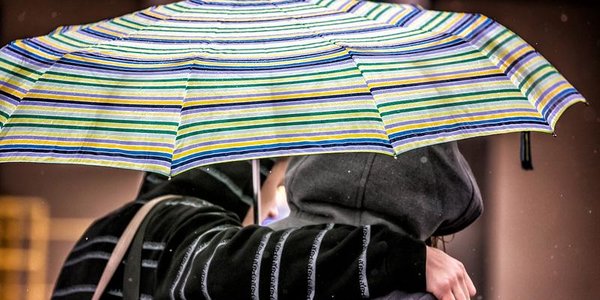 Небольшие дожди вновь прогнозируют синоптики в Приморье