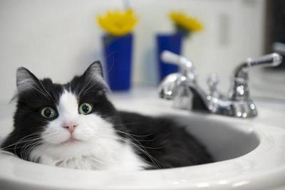 Часть Владивостока временно останется без горячей воды