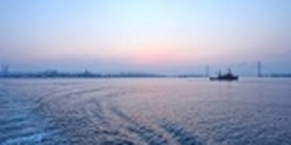 Юг Приморья сместился на 4 см после землетрясения в Японии