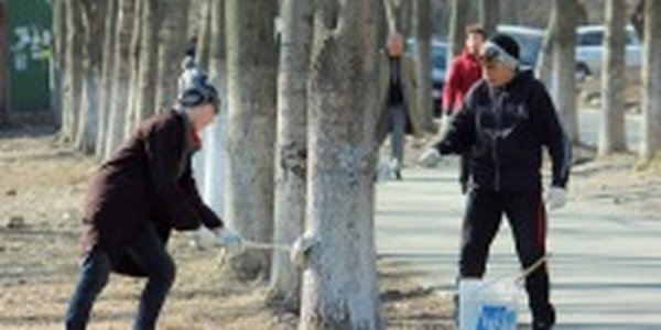 Общегородской субботник пройдёт завтра во Владивостоке