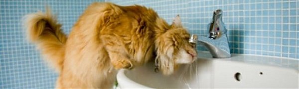 Во Владивостоке стартовал заключительный этап гидравлических испытаний