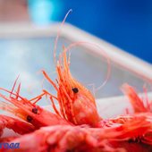 За осенними овощами и фруктами – на центральную площадь Владивостока