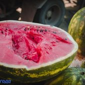 За осенними овощами и фруктами – на центральную площадь Владивостока