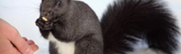 Чем заняться в выходные?