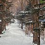 Чем заняться в выходные?