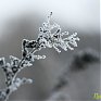 Ночные морозы в Приморье окрепнут