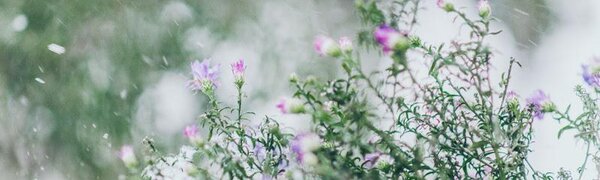 Не исключён слабый снег. Синоптики рассказали о погоде в Приморье 30 января