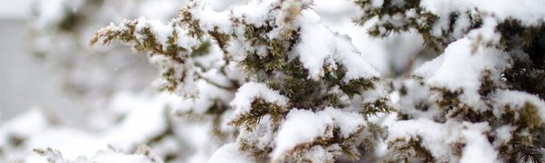 Снег во Владивостоке начнёт ослабевать к вечеру, но усилится ветер