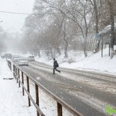Снег во Владивостоке начнёт ослабевать к вечеру, но усилится ветер