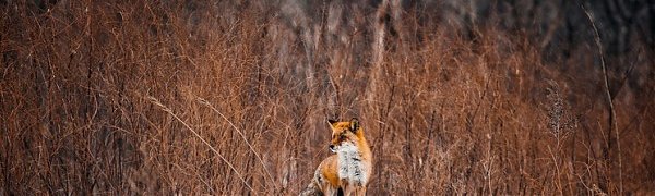 Климатический портрет января в Приморье