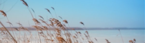 В Приморье пришли тимофеевские морозы