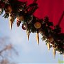 Тёплая погода продержится в Приморье до середины недели