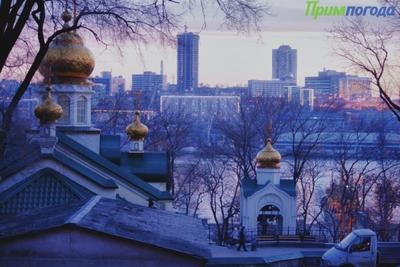 Чем дышал Владивосток с 11 по 19 декабря?