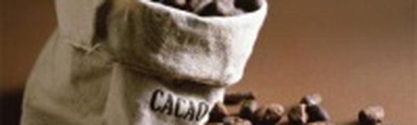 Эко-сумки из мешков для кофе покорили британских модниц