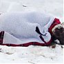Шотландская овца провела под снегом 11 дней