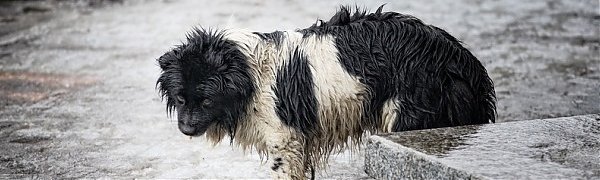 Необычный февраль принесёт в Приморье дождь со снегом и гололёд