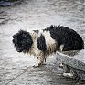 Необычный февраль принесёт в Приморье дождь со снегом и гололёд