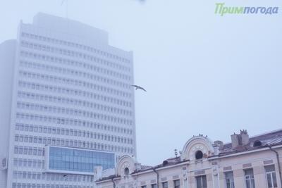 Чем дышал Владивосток с 1 по 9 февраля? Чем дышал Владивосток с 1 по 9 февраля?