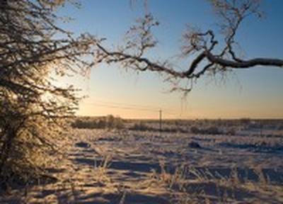 В новогодние каникулы в Приморье было морозно и сухо В новогодние каникулы в Приморье было морозно и сухо