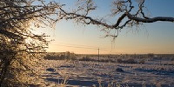 В новогодние каникулы в Приморье было морозно и сухо
