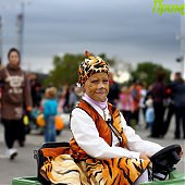 День Тигра: Полосатое шествие