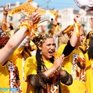 День Тигра: Полосатое шествие