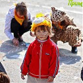 День Тигра: Полосатое шествие